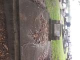 image of grave number 538783